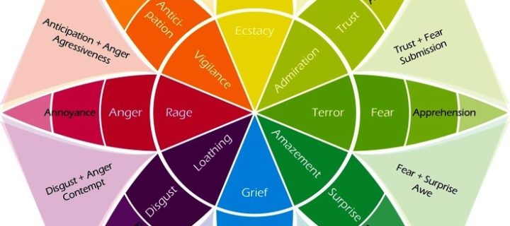 Tool: “The Emotion Wheel: What It Is and How to Use It” by Hokuma Karimova, MA